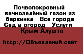 Почвопокровный, вечнозелёный газон из барвинка - Все города Сад и огород » Услуги   . Крым,Алушта